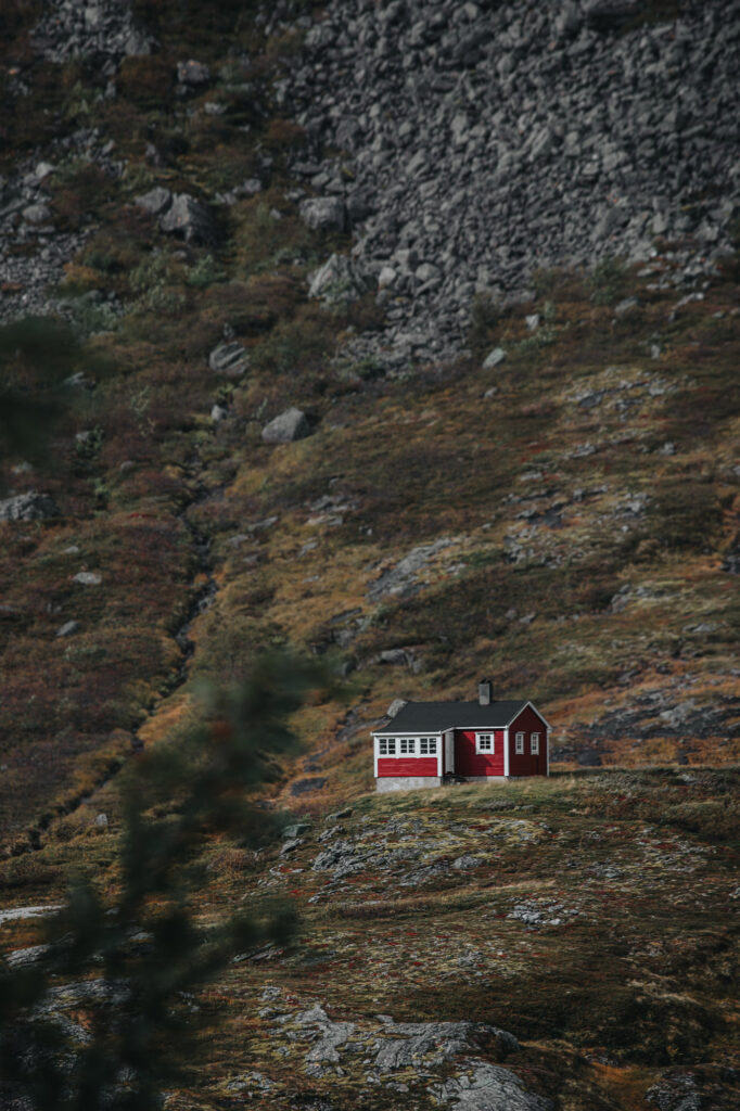 287A0539-Enhanced-NR